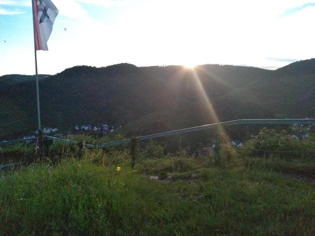 Appartement Am Bungert